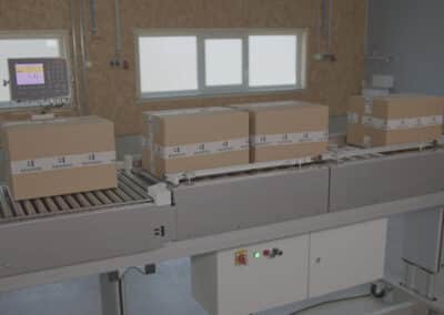 Transport section with cartons